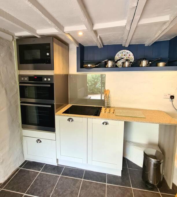 Mill Cottage Garden Annexe 뉴턴애벗 외부 사진
