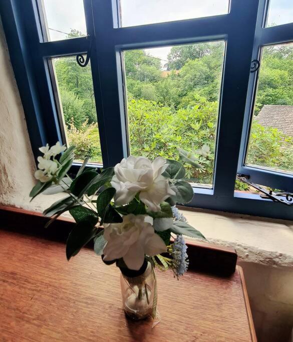 Mill Cottage Garden Annexe 뉴턴애벗 외부 사진