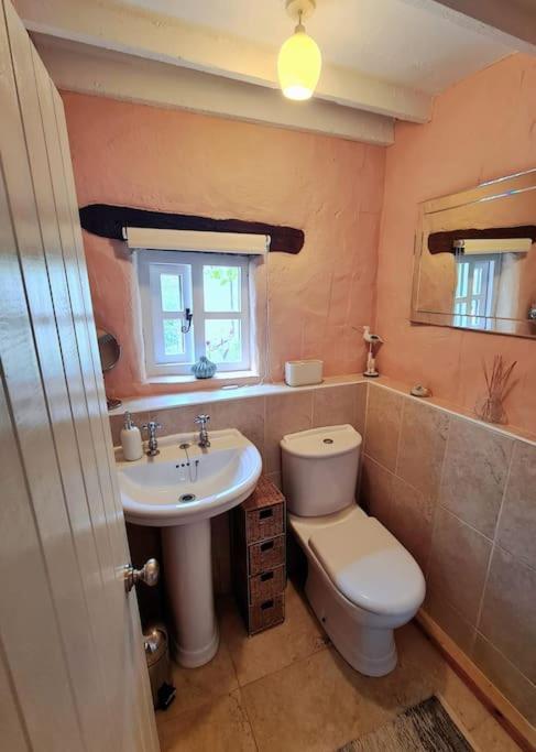 Mill Cottage Garden Annexe 뉴턴애벗 외부 사진
