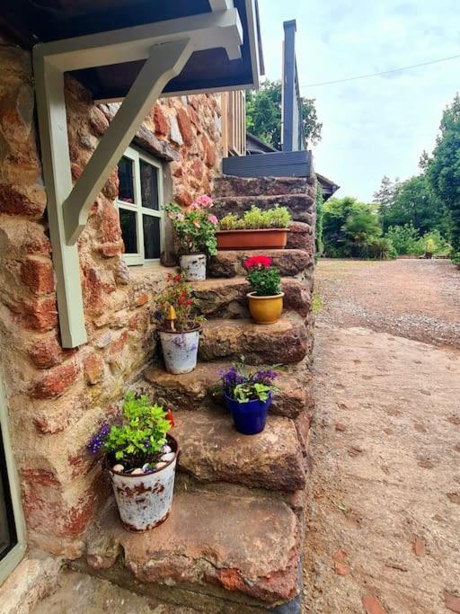 Mill Cottage Garden Annexe 뉴턴애벗 외부 사진