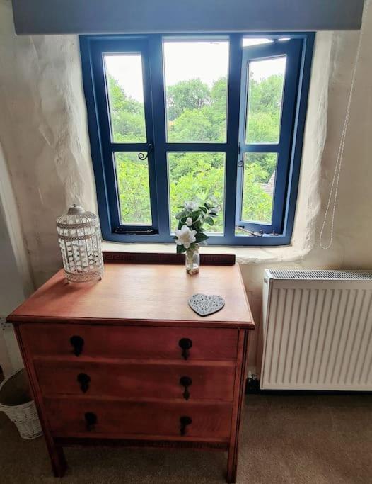 Mill Cottage Garden Annexe 뉴턴애벗 외부 사진